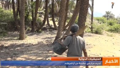 أرض مقبنة المحتجزة.. مليشيا الحوثي تقطع رزق المزارعين