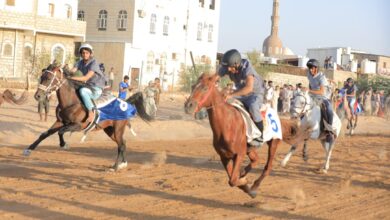 مهرجان مأرب للفروسية