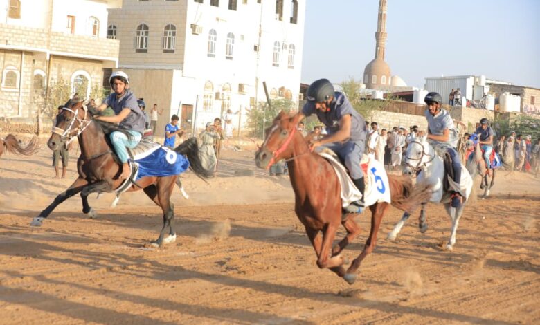 مهرجان مأرب للفروسية