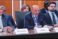 محافظ البنك المركزي ونائب وزير المالية