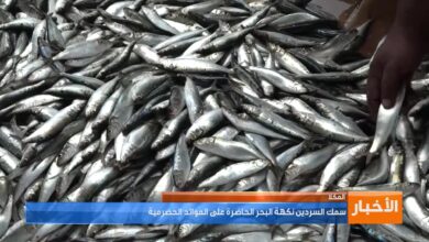 سمك السردين.. نكهة البحر الحاضرة على الموائد الحضرمية