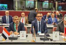 نائب رئيس مجلس النواب