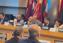 وزير التخطيط والتعاون الدولي