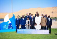 وزير الخارجية في قمة اسوان