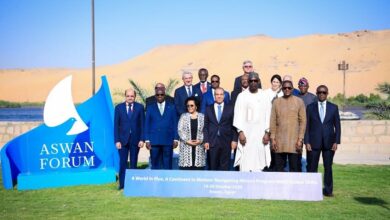 وزير الخارجية في قمة اسوان