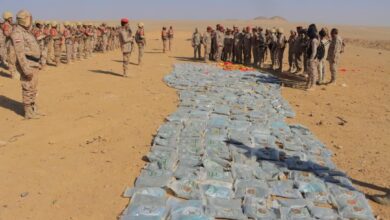 قوات الجيش تضبط طناً من الممنوعات ضمن حملة الانتشار بالجوف