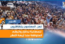 المعلمون في تعز بلا مرتبات