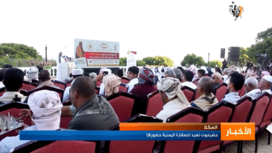 حضرموت تعيد للصقارة اليمنية حضورها