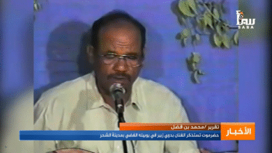 الفنان بدوي زبير