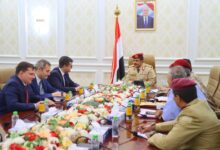 وزير الدفاع والسفير الروسي يناقشان التعاون الدفاعي المشترك.