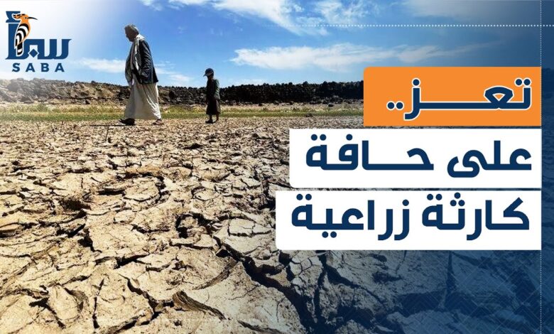 الجفاف والصقيع يهددان الزراعة في تعز