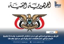 وفد سعودي إماراتي في عدن لخفض التصعيد