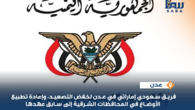 وفد سعودي إماراتي في عدن لخفض التصعيد