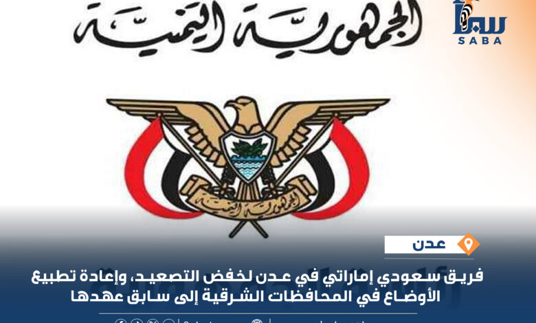 وفد سعودي إماراتي في عدن لخفض التصعيد