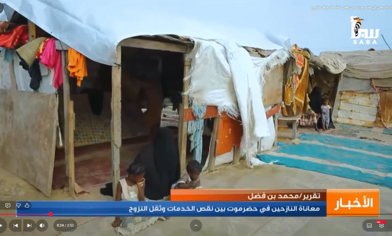 حضرموت معاناة النازحين بين نقص الخدمات وثقل النزوح