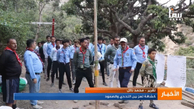 كشافة تعز بين التحدي والصمود