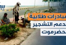 مبادرة طلابية جامعية لدعم التشجير وتحسين البيئة في حضرموت