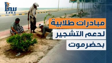 مبادرة طلابية جامعية لدعم التشجير وتحسين البيئة في حضرموت