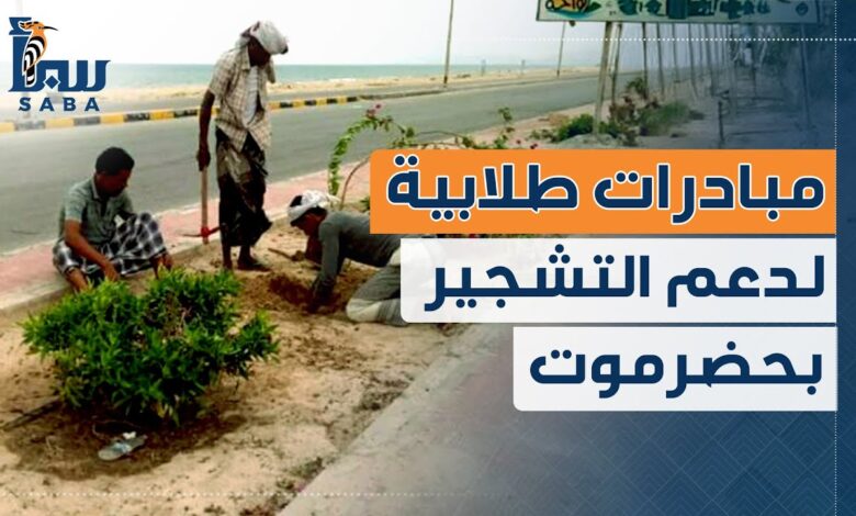 مبادرة طلابية جامعية لدعم التشجير وتحسين البيئة في حضرموت